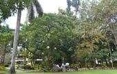 Туры в отель Cebu White Sands Resort and Spa Туры в отель Cebu White Sands Resort and Spa