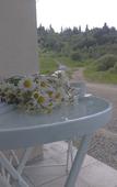 Туры в отель Villa Mtashi Туры в отель Villa Mtashi