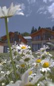 Туры в отель Villa Mtashi Туры в отель Villa Mtashi