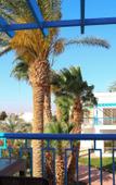 Туры в отель Chalet Hostgool Chalets In Mirage Bay Resort & Aqua Park Туры в отель Chalet Hostgool Chalets In Mirage Bay Resort & Aqua Park