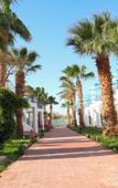 Туры в отель Chalet Hostgool Chalets In Mirage Bay Resort & Aqua Park Туры в отель Chalet Hostgool Chalets In Mirage Bay Resort & Aqua Park