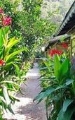 Туры в отель Olympos Tatilya Pansiyon Туры в отель Olympos Tatilya Pansiyon
