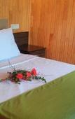 Туры в отель Cirali Zakkum Bungalow Туры в отель Cirali Zakkum Bungalow
