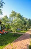 Туры в отель Cirali Zakkum Bungalow Туры в отель Cirali Zakkum Bungalow