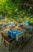 Туры в отель Cirali Zakkum Bungalow Туры в отель Cirali Zakkum Bungalow