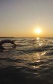 Туры в отель Welle Wadiya Туры в отель Welle Wadiya