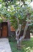 Туры в отель Mercan Bungalow Туры в отель Mercan Bungalow