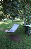 Туры в отель Mercan Bungalow Туры в отель Mercan Bungalow