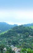 Туры в отель Kandy City Stay Туры в отель Kandy City Stay