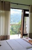 Туры в отель Jack Tree Lodge Туры в отель Jack Tree Lodge