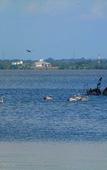 Туры в отель Nico Lagoon Hotel Туры в отель Nico Lagoon Hotel