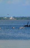 Туры в отель Nico Lagoon Hotel Туры в отель Nico Lagoon Hotel