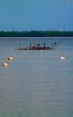 Туры в отель Nico Lagoon Hotel Туры в отель Nico Lagoon Hotel