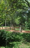 Туры в отель Amaara Forest Hotel Sigiriya Туры в отель Amaara Forest Hotel Sigiriya