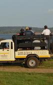 Туры в отель Amaara Forest Hotel Sigiriya Туры в отель Amaara Forest Hotel Sigiriya