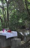 Туры в отель Amaara Forest Hotel Sigiriya Туры в отель Amaara Forest Hotel Sigiriya