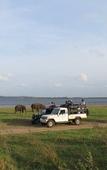 Туры в отель Amaara Forest Hotel Sigiriya Туры в отель Amaara Forest Hotel Sigiriya