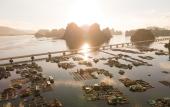 Туры в отель InterContinental Halong Bay Resort by IHG Туры в отель InterContinental Halong Bay Resort by IHG