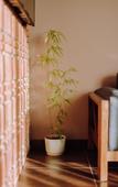 Туры в отель Boutique Hotel Kviria Туры в отель Boutique Hotel Kviria