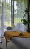 Туры в отель Villa Alba Туры в отель Villa Alba