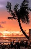 Туры в отель Twinpalms Tented Camp Phuket Туры в отель Twinpalms Tented Camp Phuket