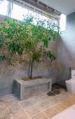 Туры в отель Serenmo Villa Туры в отель Serenmo Villa
