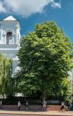 Туры в отель Old Brest Apartments Туры в отель Old Brest Apartments