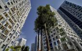 Туры в отель Hospitable House on Revolution 52B Туры в отель Hospitable House on Revolution 52B