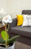 Туры в отель Jane Eyre SUTKI LIFE Apartments Туры в отель Jane Eyre SUTKI LIFE Apartments