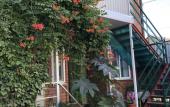 Туры в отель Dunyasha Guest House Туры в отель Dunyasha Guest House