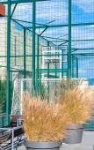 Туры в отель Vid Na More V Tsentre Apartments Туры в отель Vid Na More V Tsentre Apartments