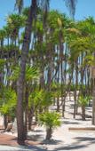 Туры в отель Valentin Imperial Riviera Maya – All Inclusive – Adults Only Туры в отель Valentin Imperial Riviera Maya – All Inclusive – Adults Only