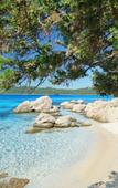 Туры в отель 7Pines Resort Sardinia-A Destination By Hyatt Туры в отель 7Pines Resort Sardinia-A Destination By Hyatt