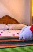 Туры в отель Wildshade safari Lodge Udawalawa Туры в отель Wildshade safari Lodge Udawalawa