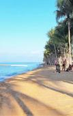 Туры в отель Sea View 16th Floor Condo at Jomtien Beach Туры в отель Sea View 16th Floor Condo at Jomtien Beach
