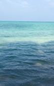 Туры в отель Tilar Siro Andamans - CGH Earth Туры в отель Tilar Siro Andamans - CGH Earth