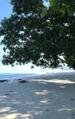 Туры в отель Tilar Siro Andamans - CGH Earth Туры в отель Tilar Siro Andamans - CGH Earth