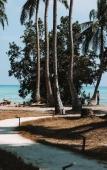 Туры в отель Tilar Siro Andamans - CGH Earth Туры в отель Tilar Siro Andamans - CGH Earth