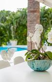 Туры в отель Luxury villa at Puntacana Resort & Club Туры в отель Luxury villa at Puntacana Resort & Club