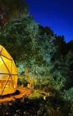 Туры в отель Evergreen Glamping Туры в отель Evergreen Glamping