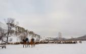 Туры в отель Maralnik Altai Palace Hotel Туры в отель Maralnik Altai Palace Hotel