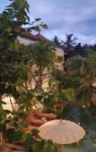 Туры в отель Sabana Ubud Туры в отель Sabana Ubud