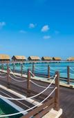 Туры в отель Playa Luxury Cayo Guillermo Туры в отель Playa Luxury Cayo Guillermo