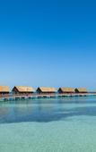 Туры в отель Playa Luxury Cayo Guillermo Туры в отель Playa Luxury Cayo Guillermo