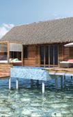 Туры в отель Playa Luxury Cayo Guillermo Туры в отель Playa Luxury Cayo Guillermo