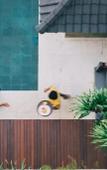 Туры в отель The Visala Boutique Hotel Туры в отель The Visala Boutique Hotel