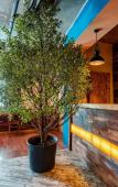 Туры в отель The Bridge Hostel Туры в отель The Bridge Hostel