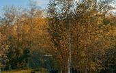Туры в отель Lava Recreation Center Туры в отель Lava Recreation Center