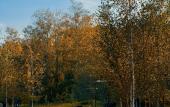 Туры в отель Lava Recreation Center Туры в отель Lava Recreation Center