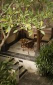 Туры в отель Villas at The Patra Bali Resort & Villas Туры в отель Villas at The Patra Bali Resort & Villas